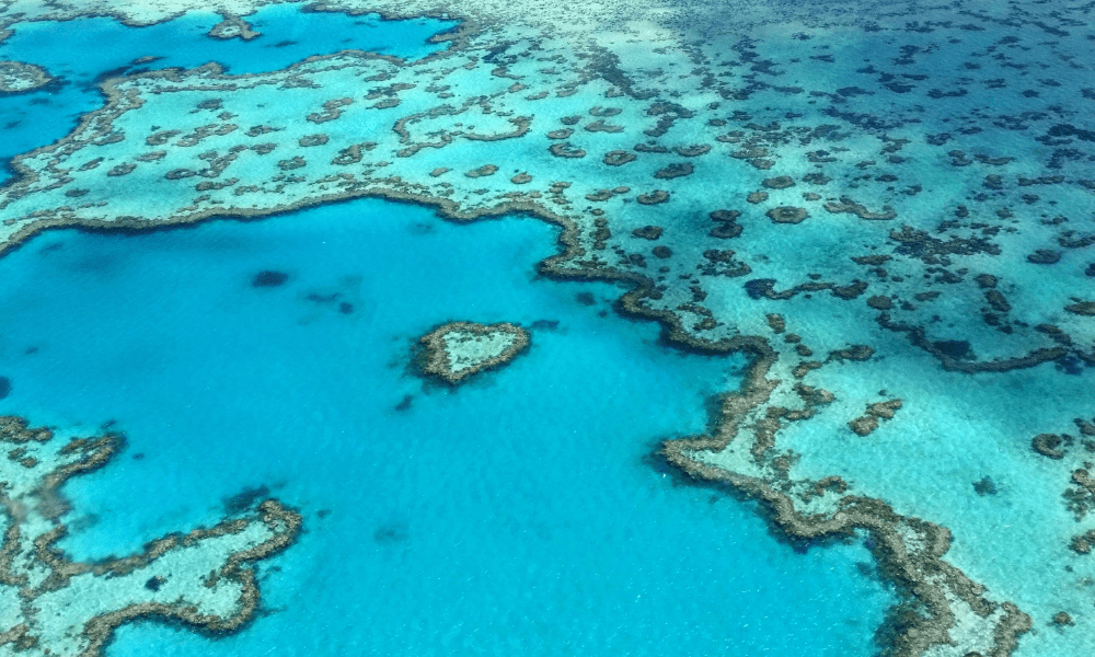 best time to visit whitsundays