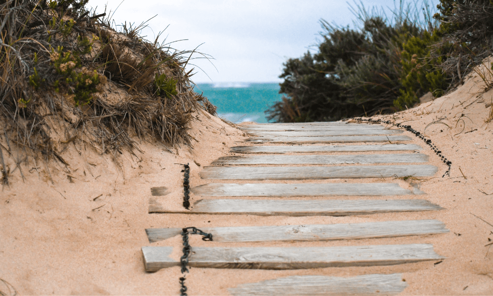 5 of the best walks to do in Airlie Beach