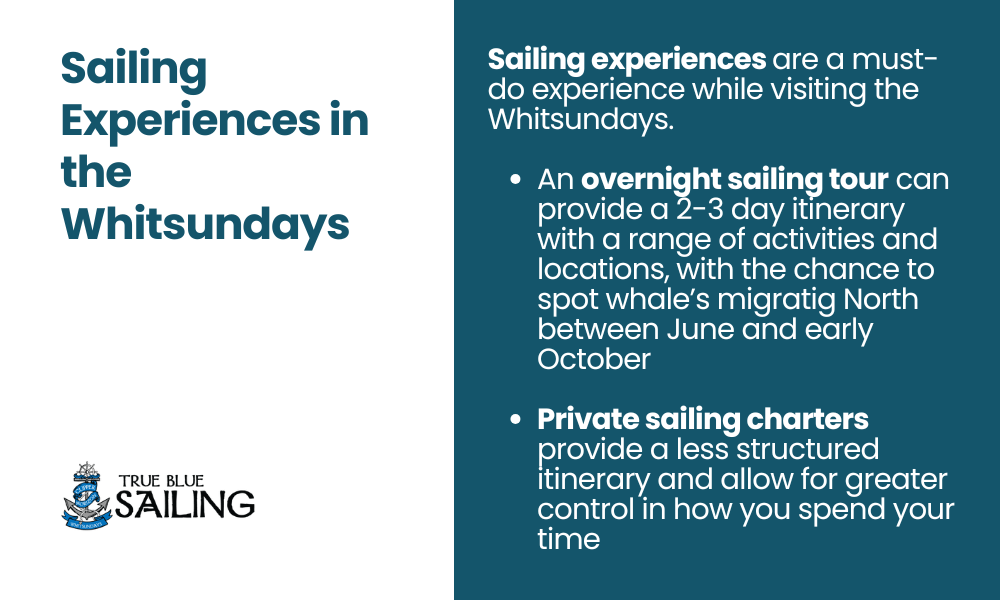 Sailing experiences in the whitsundays