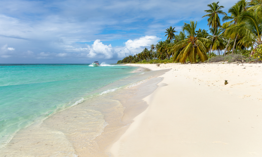 what to do in airlie beach when its raining