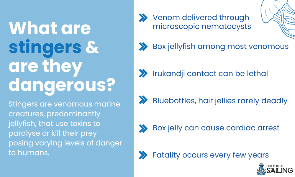 What are stingers & are they dangerous?