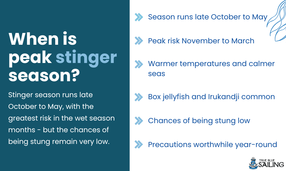 When is peak season for stingers on the Whitsundays?